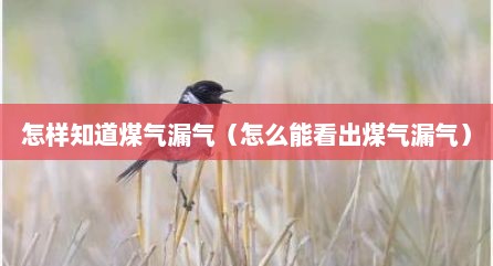 怎样知道煤气漏气（怎么能看出煤气漏气）