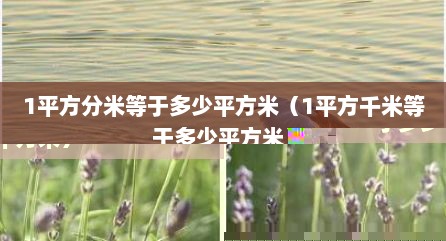 1平方分米等于多少平方米（1平方千米等于多少平方米）