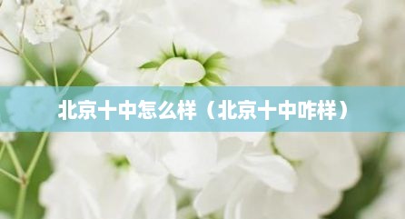 北京十中怎么样（北京十中咋样）