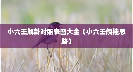 小六壬解卦对照表图大全（小六壬解挂思路）