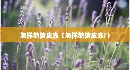 怎样熬猪皮冻（怎样熬猪皮冻?）