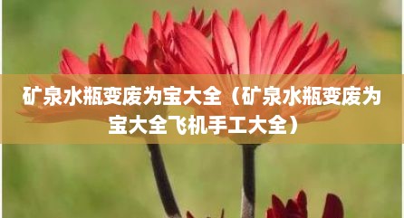 矿泉水瓶变废为宝大全（矿泉水瓶变废为宝大全飞机手工大全）
