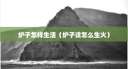 炉子怎样生活（炉子该怎么生火）