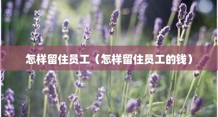 怎样留住员工（怎样留住员工的钱）
