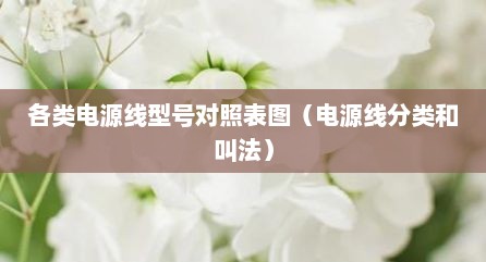 各类电源线型号对照表图（电源线分类和叫法）