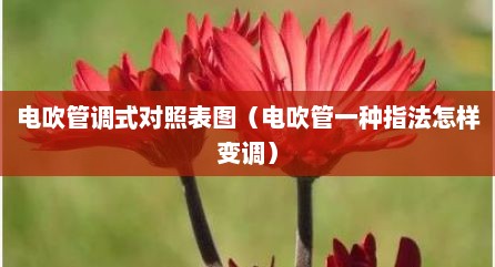 电吹管调式对照表图（电吹管一种指法怎样变调）