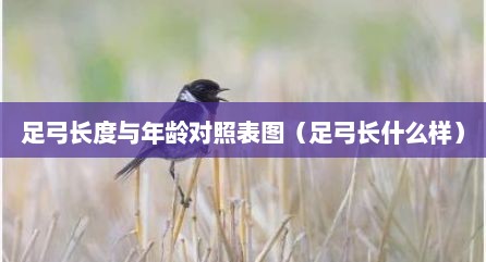 足弓长度与年龄对照表图（足弓长什么样）