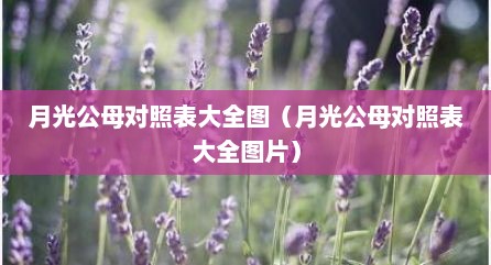 月光公母对照表大全图（月光公母对照表大全图片）