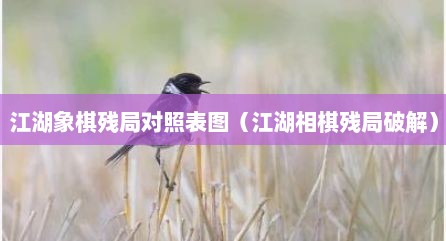 江湖象棋残局对照表图（江湖相棋残局破解）