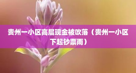 贵州一小区高层现金被吹落（贵州一小区下起钞票雨）