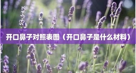 开口鼻子对照表图（开口鼻子是什么材料）