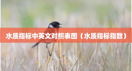 水质指标中英文对照表图（水质指标指数）