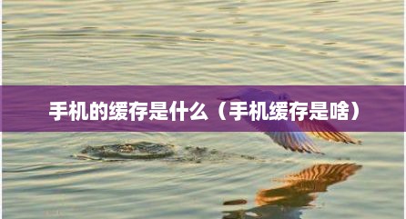 手机的缓存是什么（手机缓存是啥）