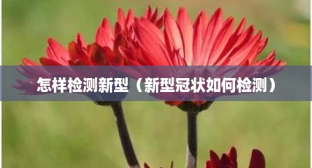 怎样检测新型（新型冠状如何检测）