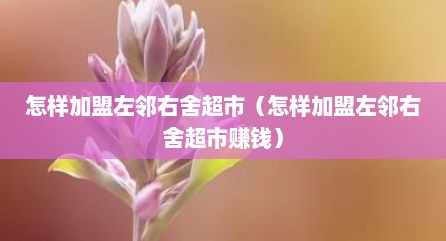 怎样加盟左邻右舍超市（怎样加盟左邻右舍超市赚钱）