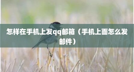 怎样在手机上发qq邮箱（手机上面怎么发邮件）
