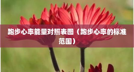 跑步心率能量对照表图（跑步心率的标准范围）