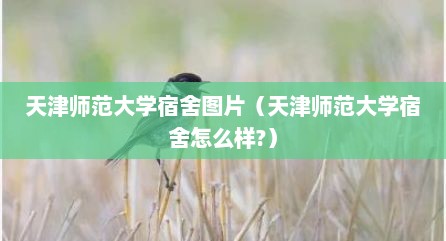 天津师范大学宿舍图片（天津师范大学宿舍怎么样?）