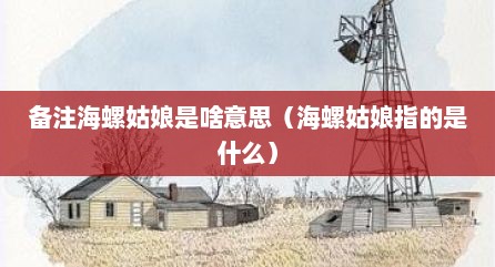 备注海螺姑娘是啥意思（海螺姑娘指的是什么）