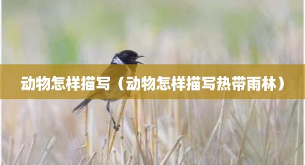 动物怎样描写（动物怎样描写热带雨林）