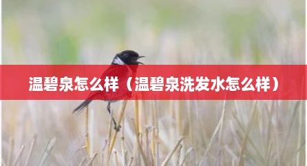 温碧泉怎么样（温碧泉洗发水怎么样）