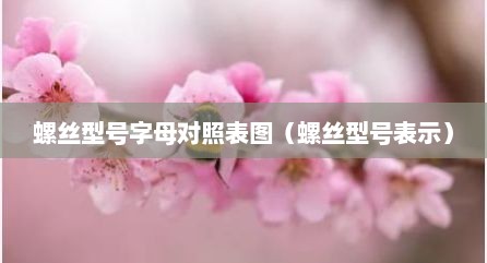 螺丝型号字母对照表图（螺丝型号表示）