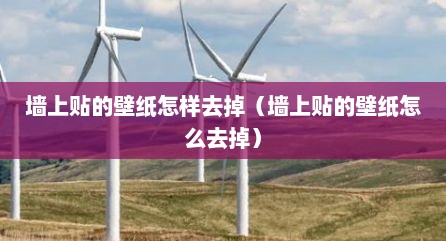 墙上贴的壁纸怎样去掉（墙上贴的壁纸怎么去掉）