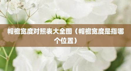 帽檐宽度对照表大全图（帽檐宽度是指哪个位置）