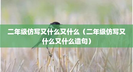 二年级仿写又什么又什么（二年级仿写又什么又什么造句）