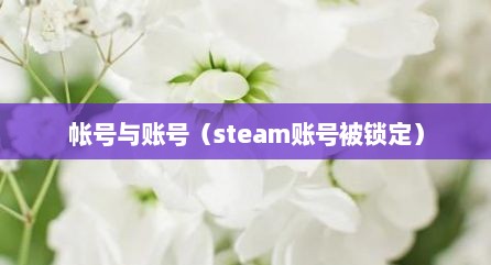 帐号与账号（steam账号被锁定）