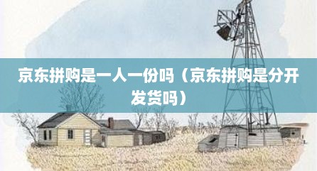 京东拼购是一人一份吗（京东拼购是分开发货吗）