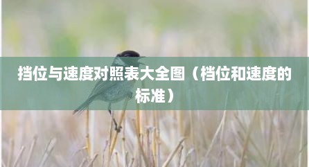 挡位与速度对照表大全图（档位和速度的标准）