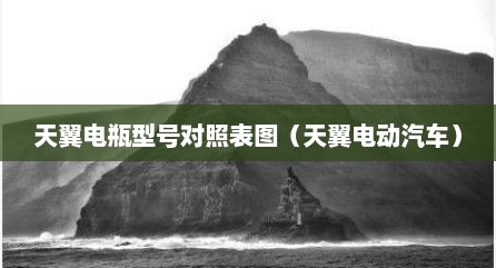 天翼电瓶型号对照表图（天翼电动汽车）