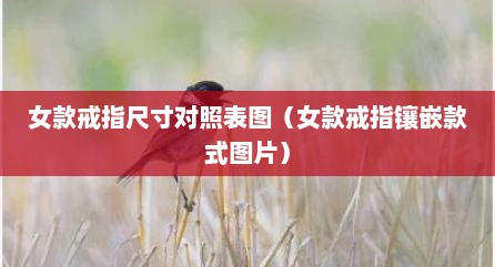 女款戒指尺寸对照表图（女款戒指镶嵌款式图片）