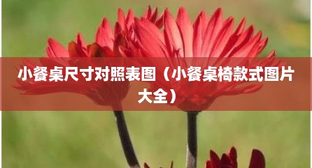 小餐桌尺寸对照表图（小餐桌椅款式图片大全）