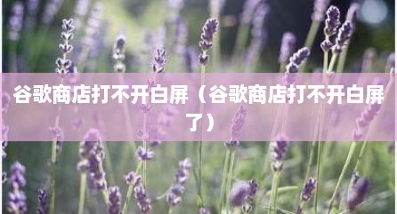 谷歌商店打不开白屏（谷歌商店打不开白屏了）