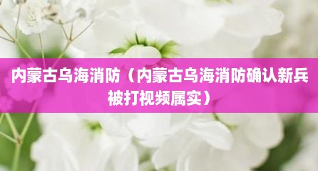 内蒙古乌海消防（内蒙古乌海消防确认新兵被打视频属实）