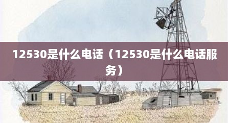 12530是什么电话（12530是什么电话服务）