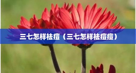 三七怎样祛痘（三七怎样祛痘痘）