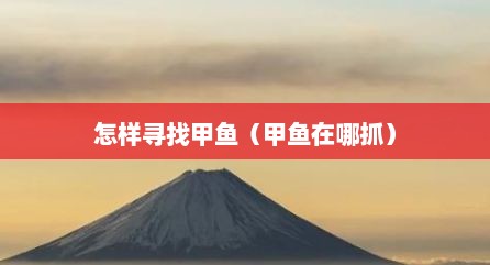 怎样寻找甲鱼（甲鱼在哪抓）
