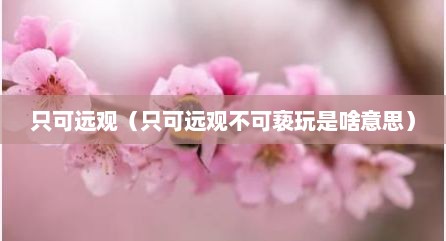 只可远观（只可远观不可亵玩是啥意思）