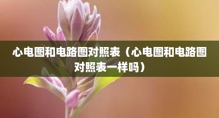 心电图和电路图对照表（心电图和电路图对照表一样吗）