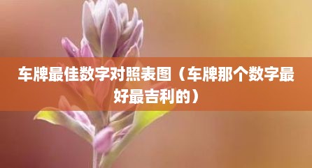 车牌最佳数字对照表图（车牌那个数字最好最吉利的）