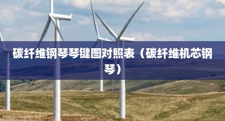 碳纤维钢琴琴键图对照表（碳纤维机芯钢琴）