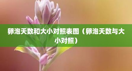 卵泡天数和大小对照表图（卵泡天数与大小对照）