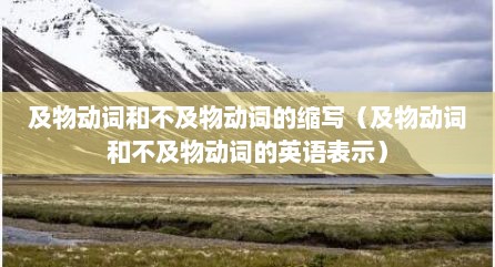 及物动词和不及物动词的缩写（及物动词和不及物动词的英语表示）