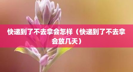 快递到了不去拿会怎样（快递到了不去拿会放几天）