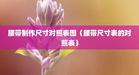 腰带制作尺寸对照表图（腰带尺寸表的对照表）