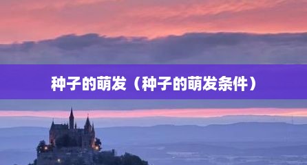 种子的萌发（种子的萌发条件）