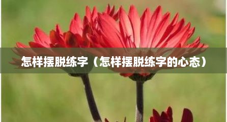 怎样摆脱练字（怎样摆脱练字的心态）